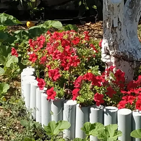 Sea Dream Appartamento *